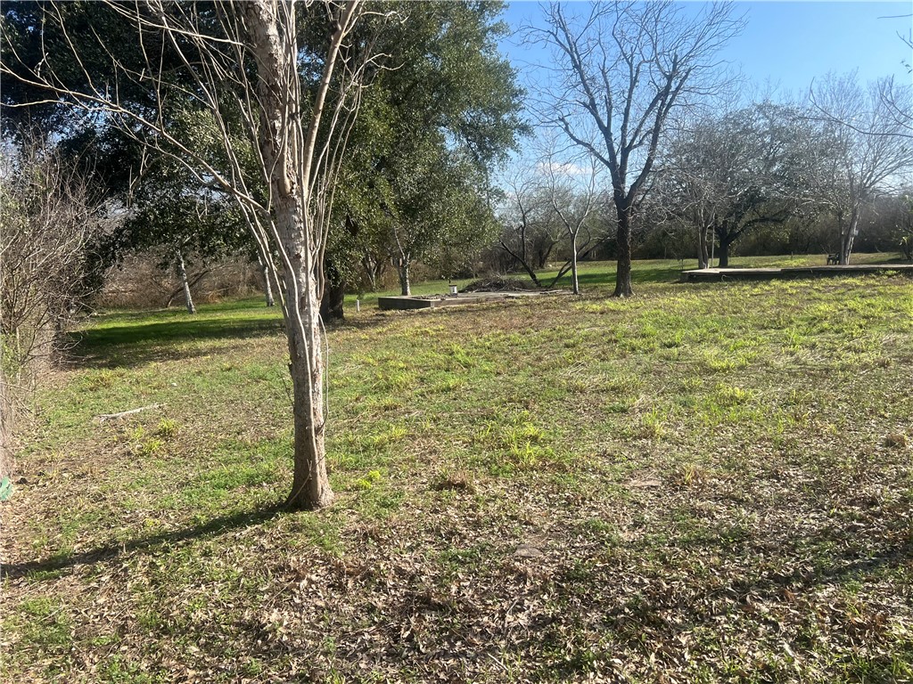 9561 County Road 509 Property Photo 16