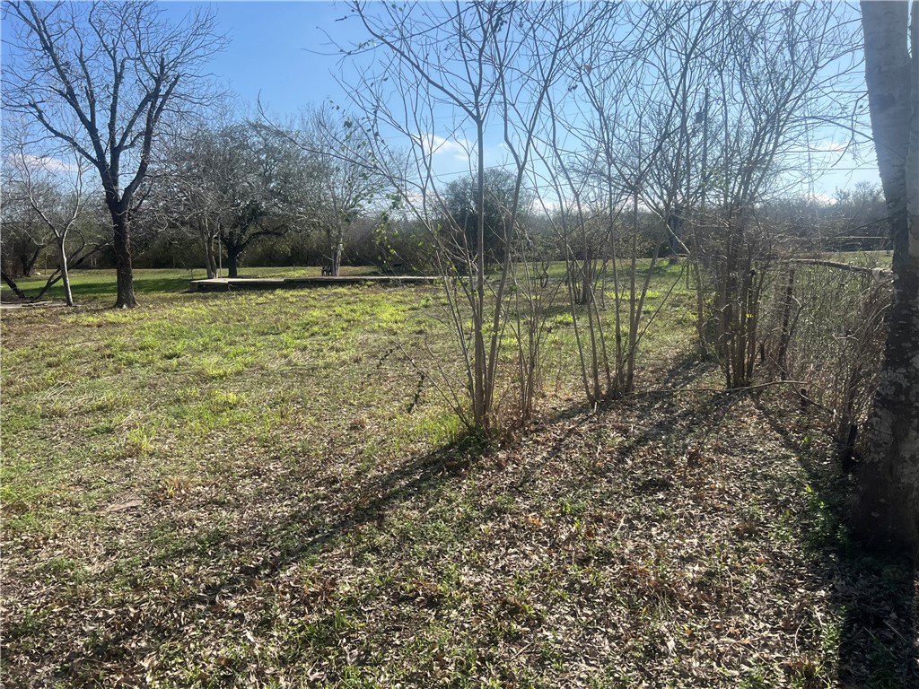 9561 County Road 509 Property Photo 17