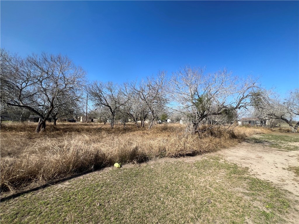 Tbd Marigold Ave Property Photo 8