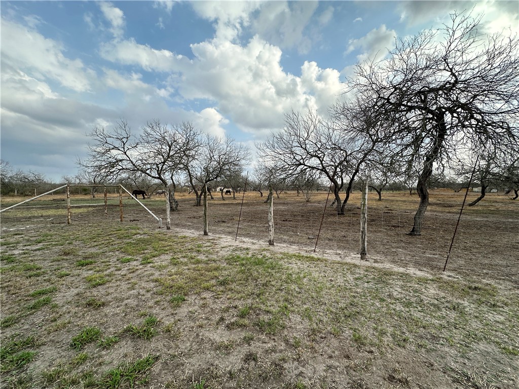 240 County Road 2112 Property Photo 38