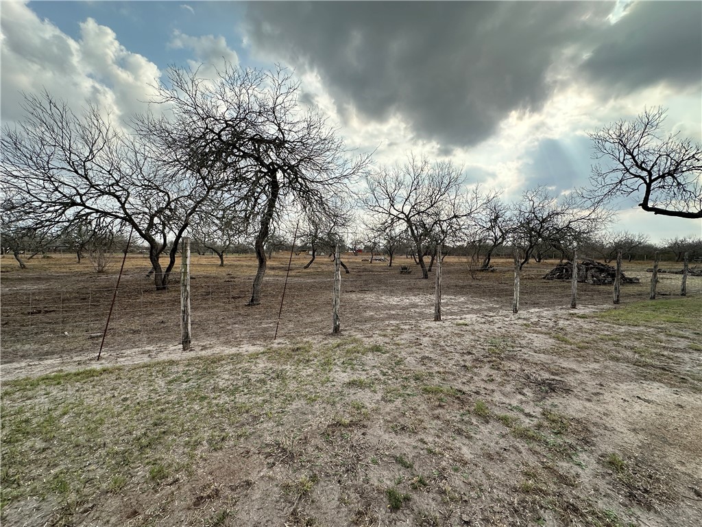 240 County Road 2112 Property Photo 39