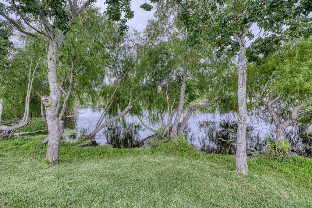 233 Lakeview Dr Property Photo 4