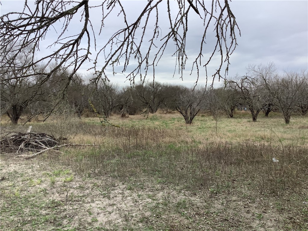 17 Chuckwagon Property Photo 3