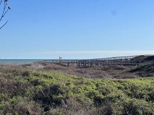 130 Sea Bird Lane Property Photo 9