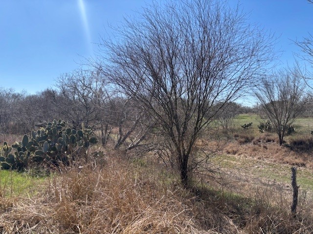 105 Voglesang Property Photo 28