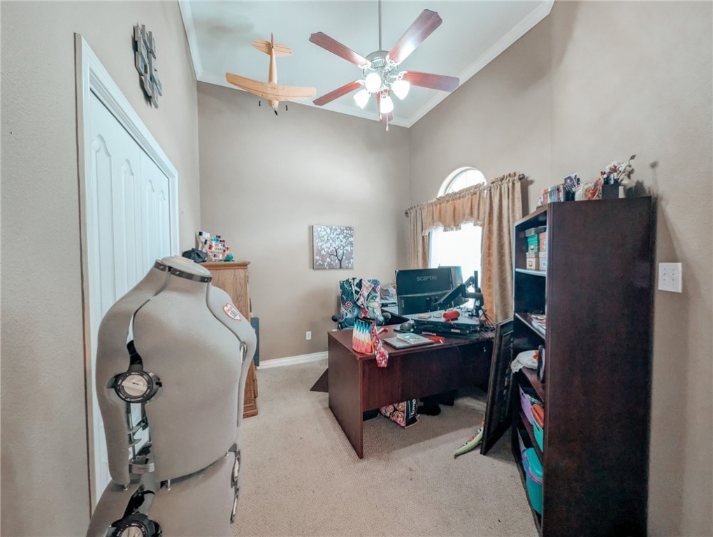 6234 Queen Jane St Property Photo 18