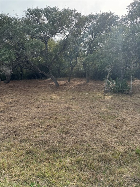 1827 4th St Property Photo 7