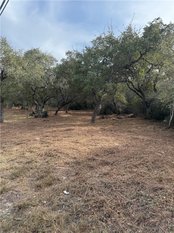 1827 4th St Property Photo 10