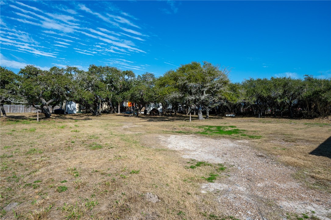 2020/2028 Dallas St Property Photo 4