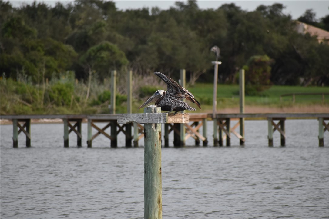 102 Redfish Point Dr Property Photo 15