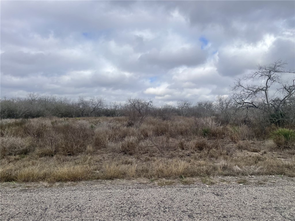 Tbd Windy Ridge Loop Lane Property Photo