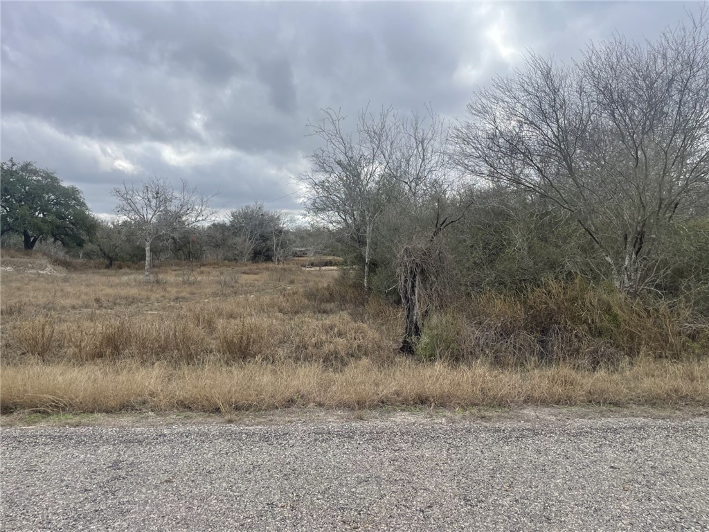 Tbd Windy Ridge Loop Lane Property Photo 2