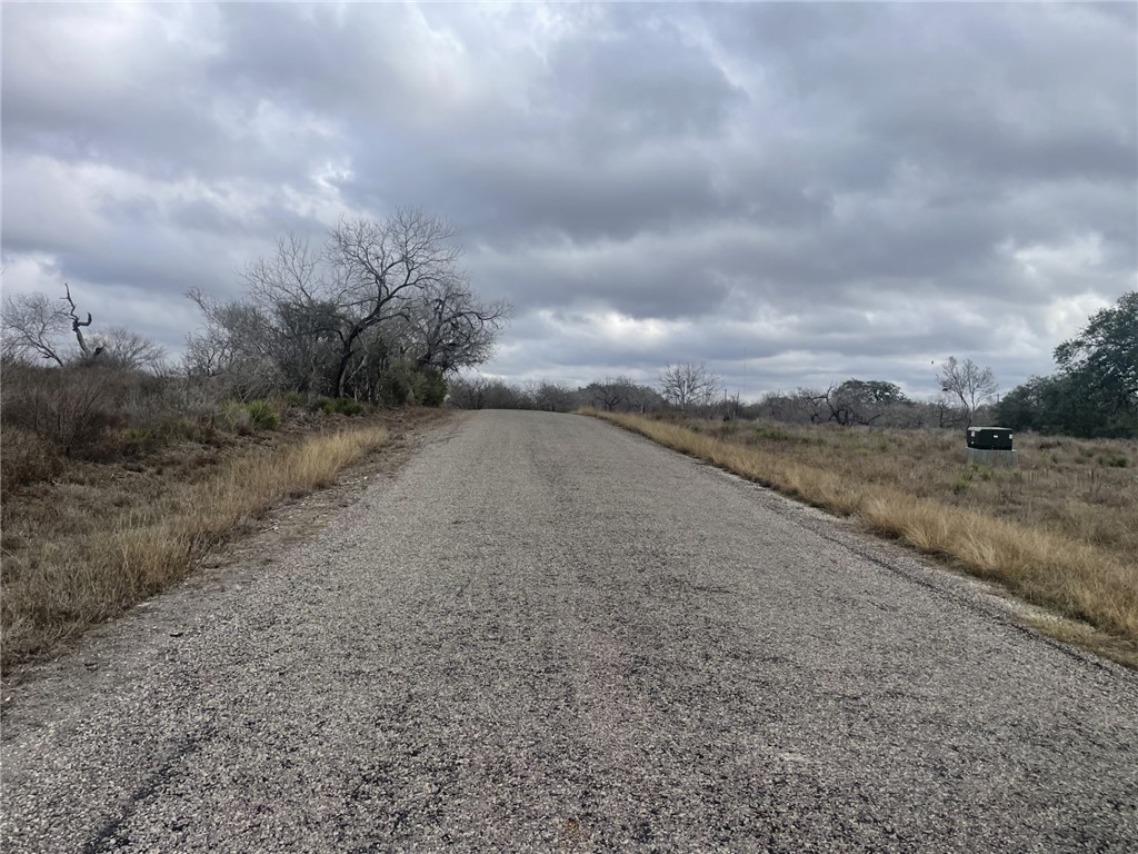 Tbd Windy Ridge Loop Lane Property Photo 4