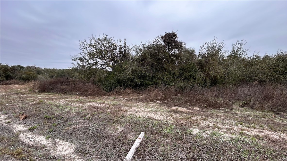 000 Seventh Property Photo 4