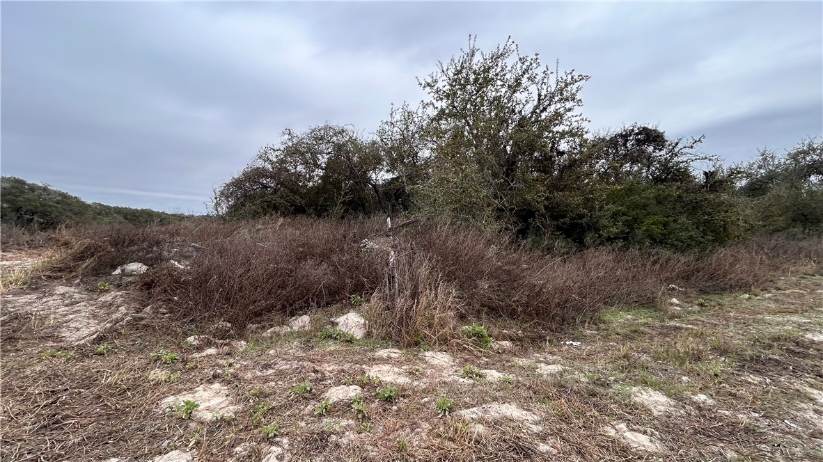 000 Seventh Property Photo 8