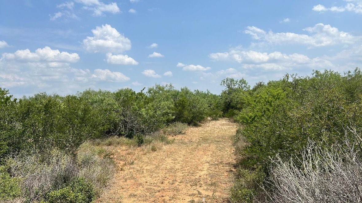 1338 Tx-359 Property Photo 5