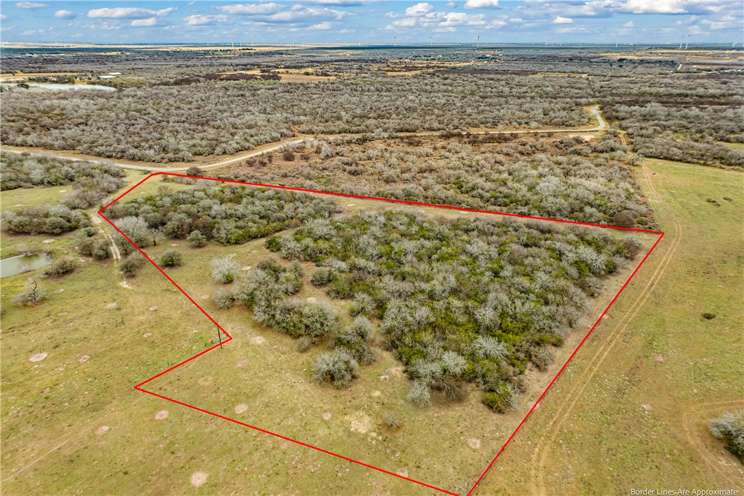10 Acres Out Of 21449 County Road 1664 Property Photo 3