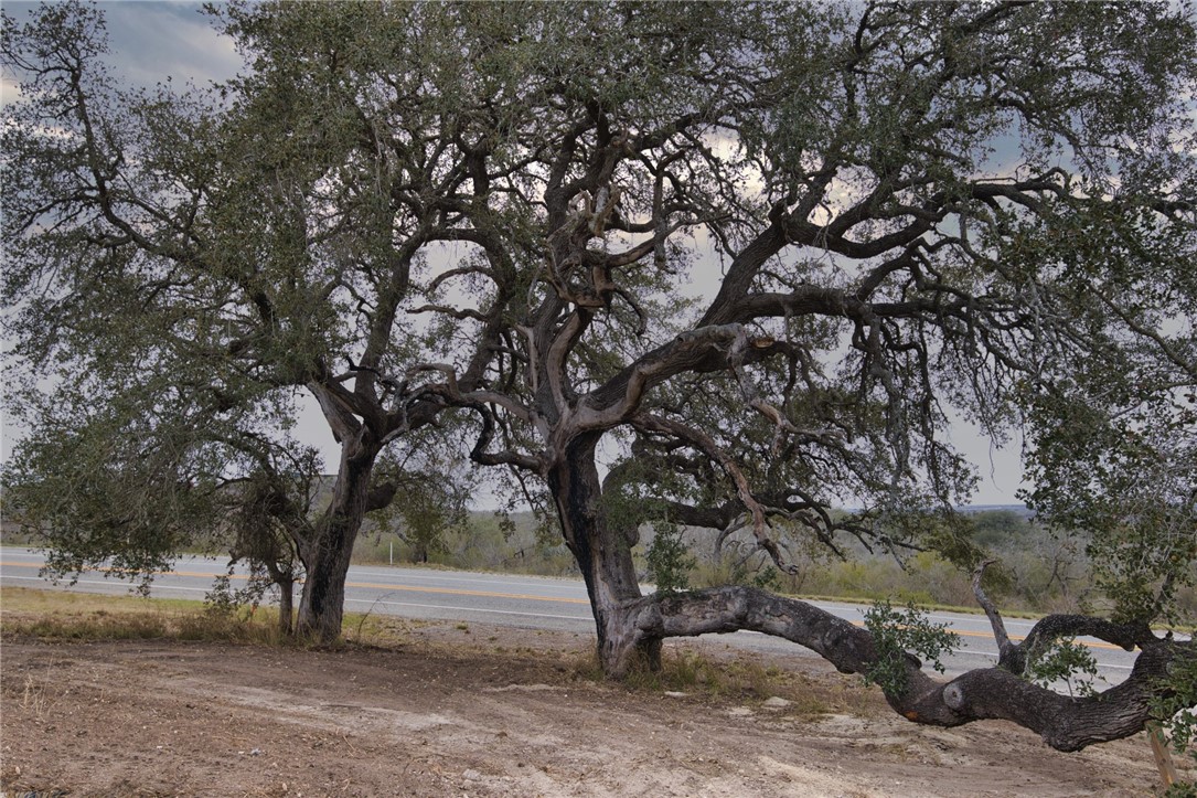 960 Fm 3024 Property Photo 36
