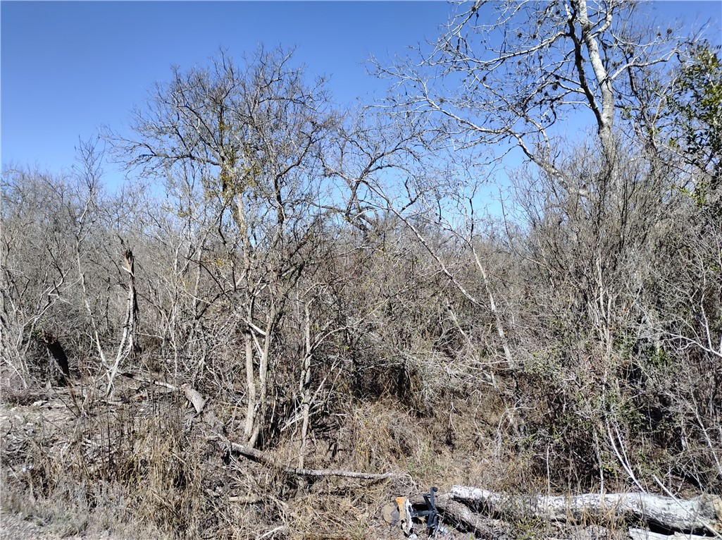 0000 Fm 534 / Cr 179 / Cr 174 Property Photo