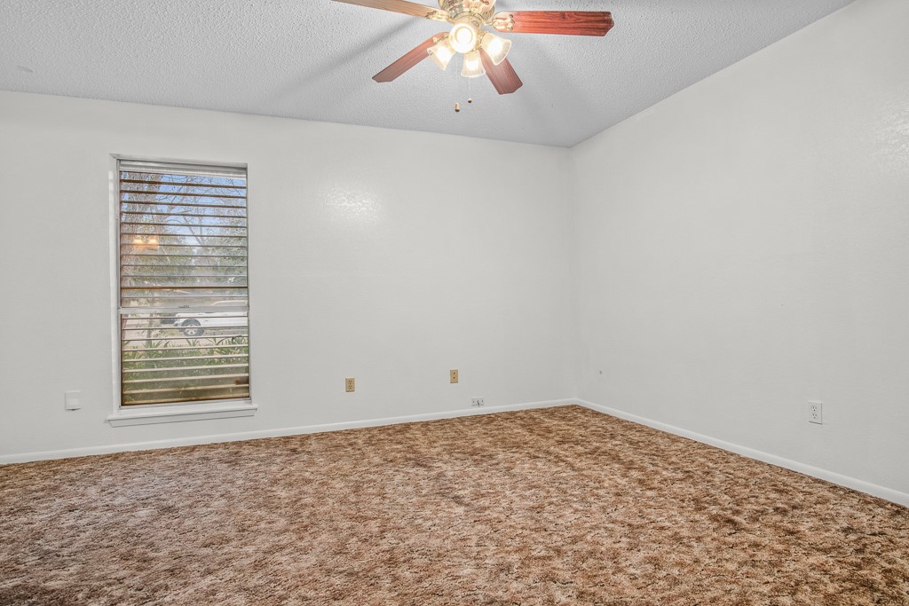 11918 Black Peak Dr Property Photo 4