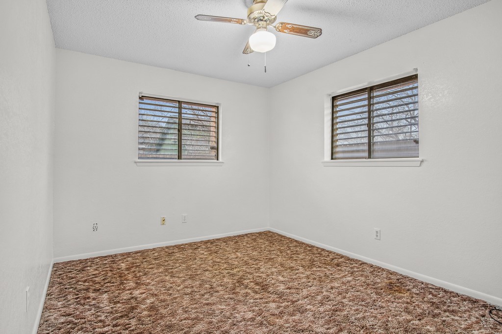 11918 Black Peak Dr Property Photo 15