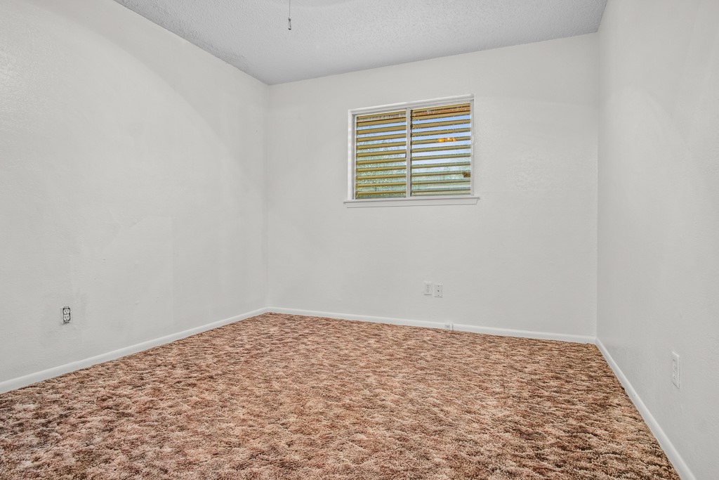 11918 Black Peak Dr Property Photo 16