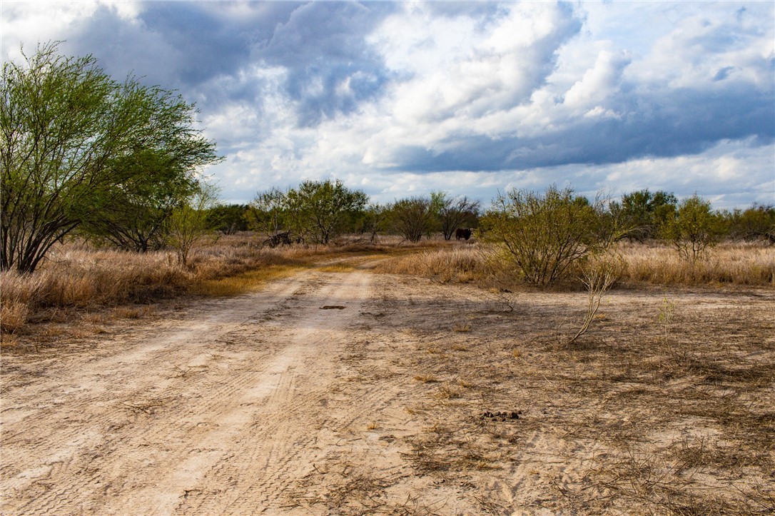 953 Fm-799 Property Photo 14