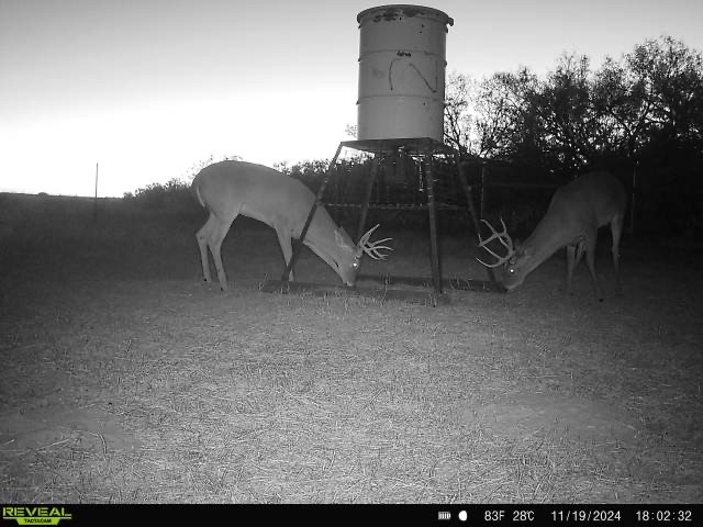 953 Fm-799 Property Photo 16