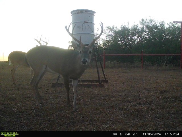 953 Fm-799 Property Photo 17