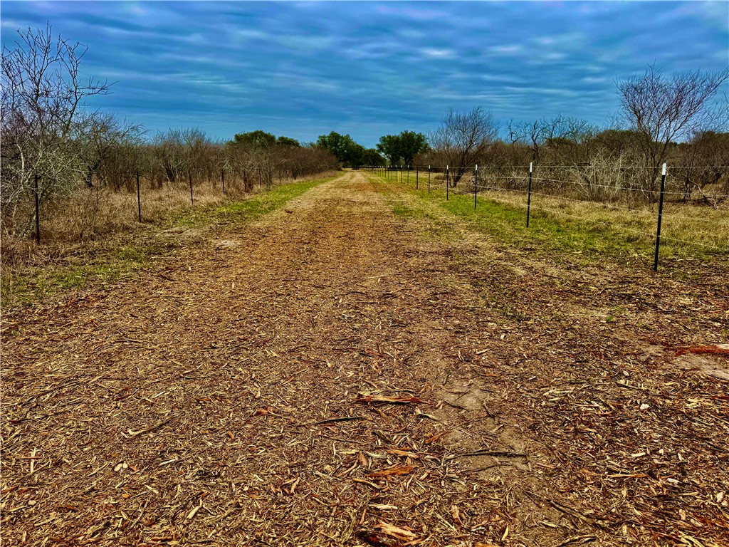 Tbd Fm 2441 Property Photo