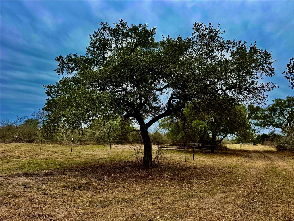 Tbd Fm 2441 Property Photo 2