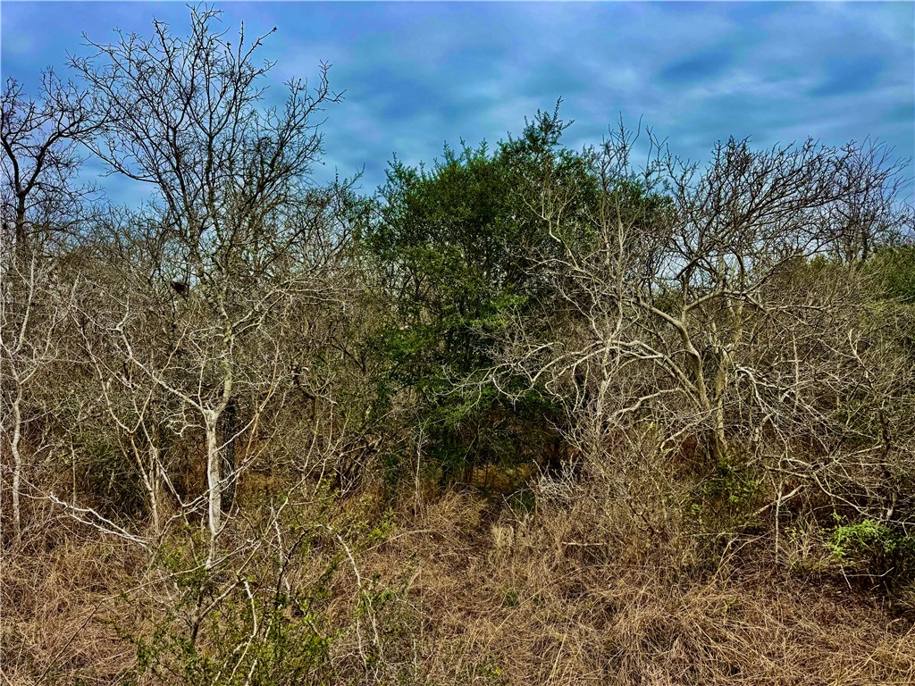 Tbd Fm 2441 Property Photo 5