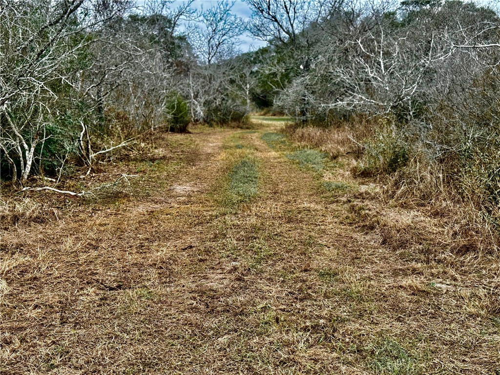 Tbd Fm 2441 Property Photo 6