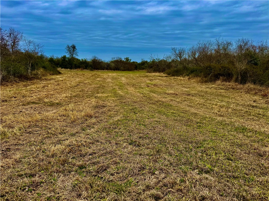 Tbd Fm 2441 Property Photo 7