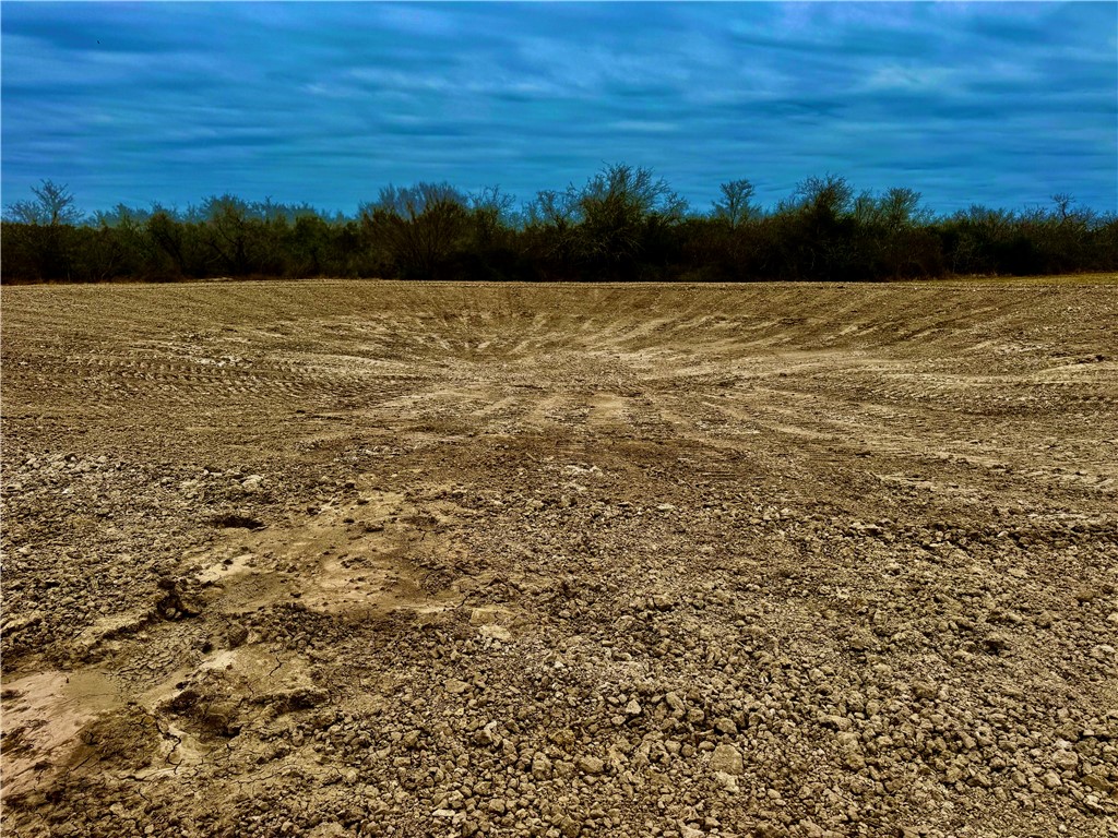 Tbd Fm 2441 Property Photo 8