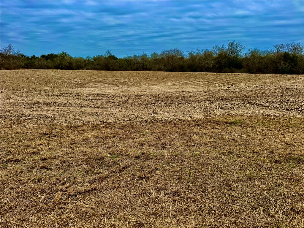 Tbd Fm 2441 Property Photo 10