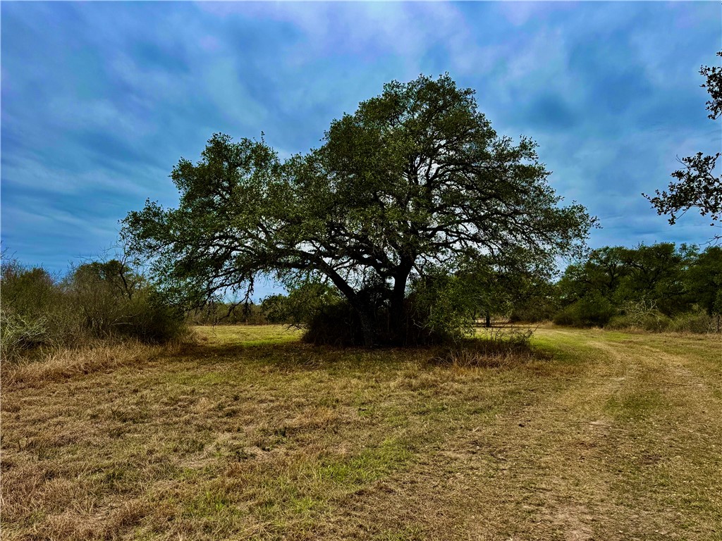 Tbd Fm 2441 Property Photo 12