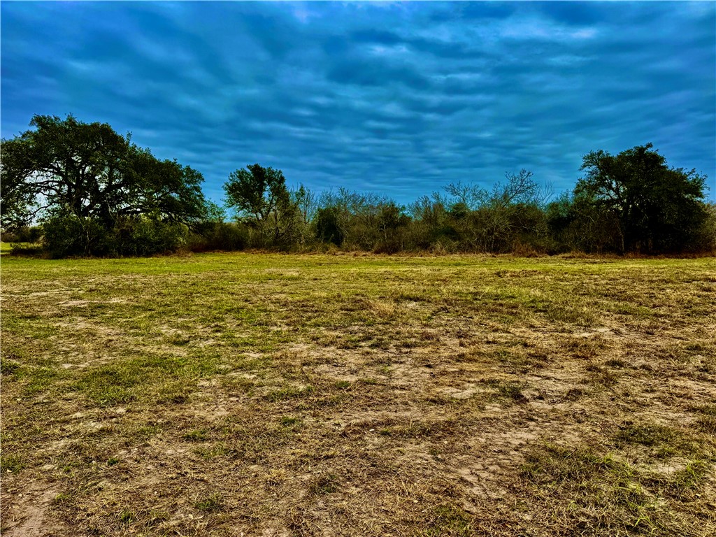 Tbd Fm 2441 Property Photo 14