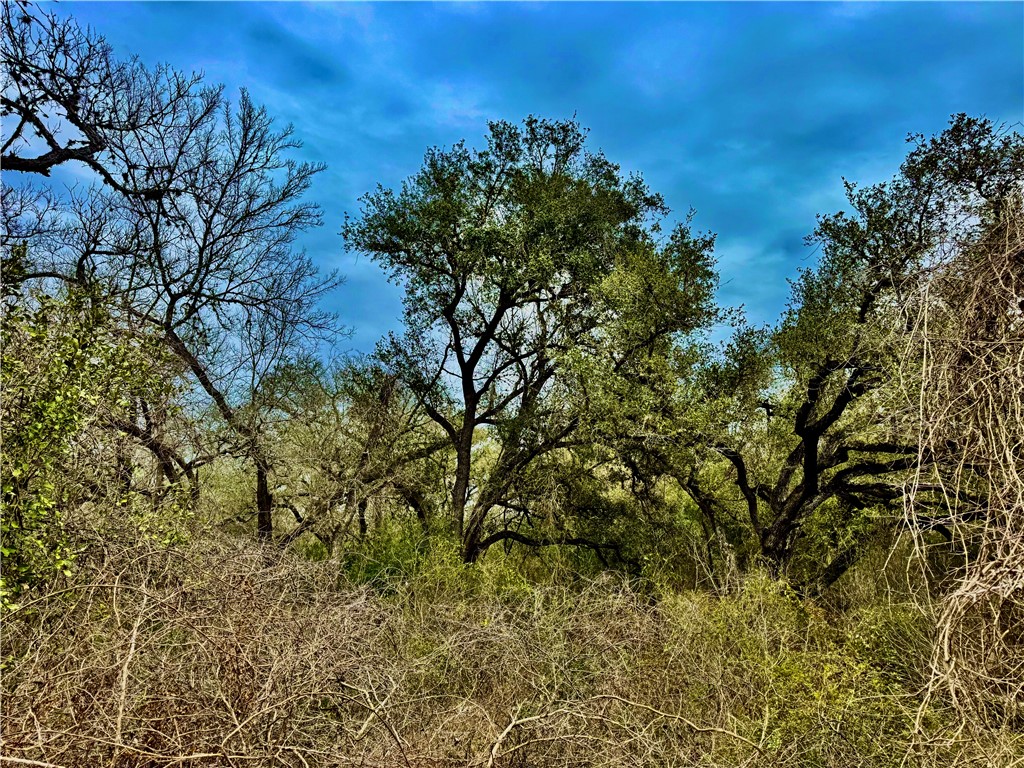 Tbd Fm 2441 Property Photo 18