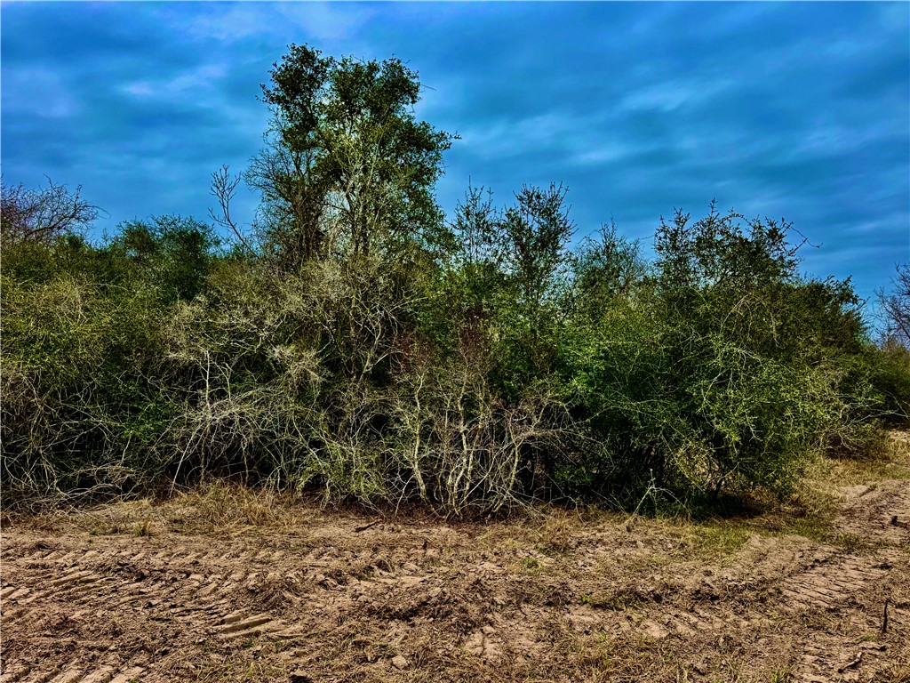 Tbd Fm 2441 Property Photo 20
