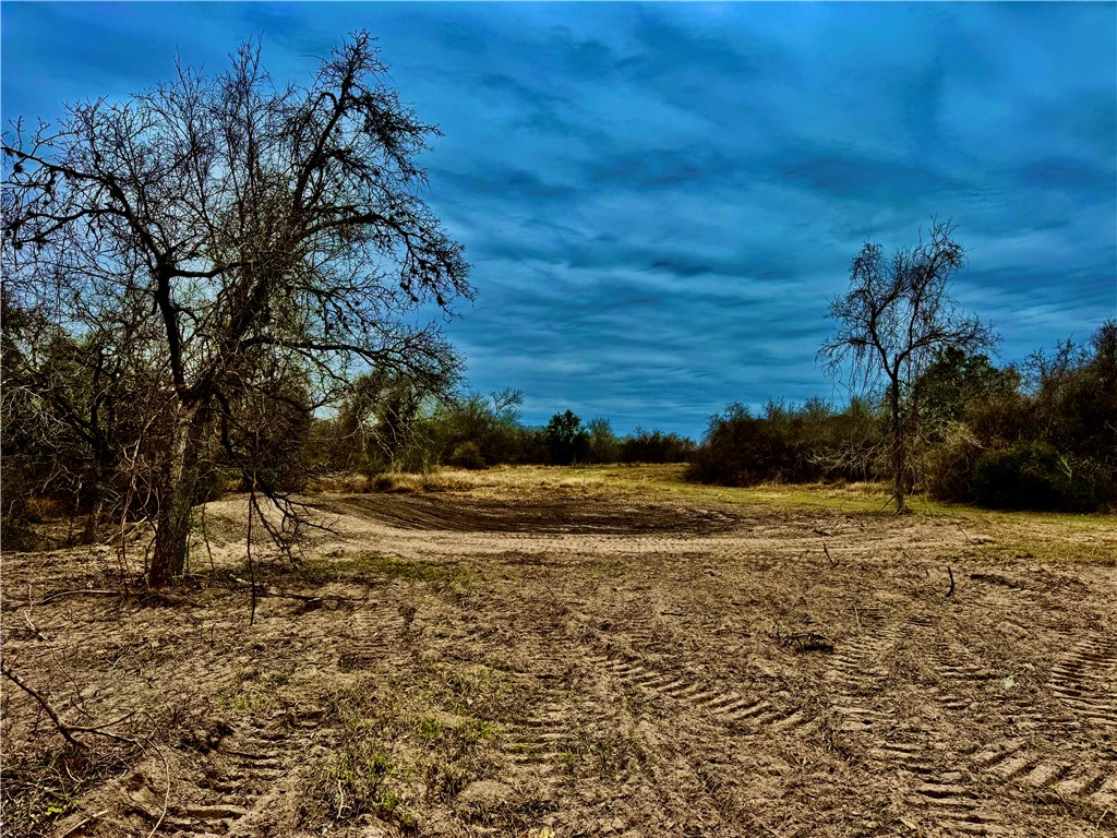 Tbd Fm 2441 Property Photo 21