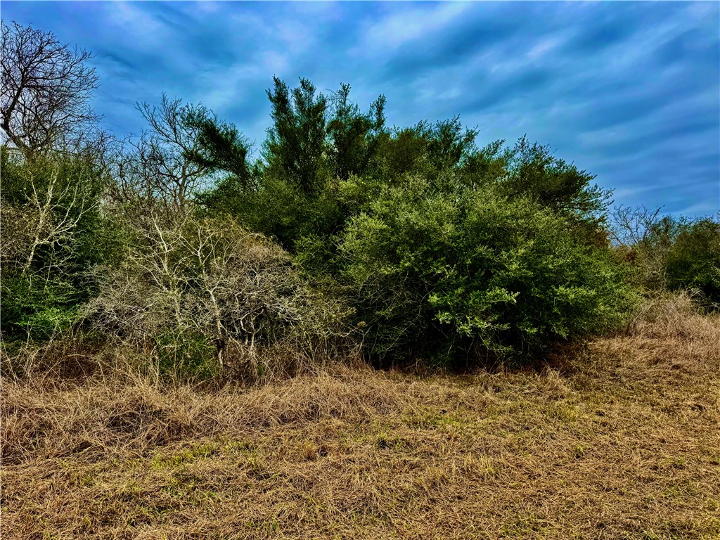 Tbd Fm 2441 Property Photo 22