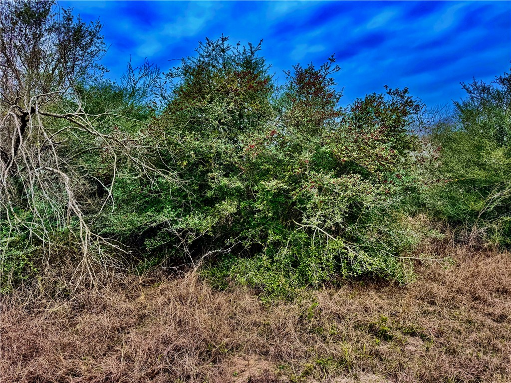 Tbd Fm 2441 Property Photo 23