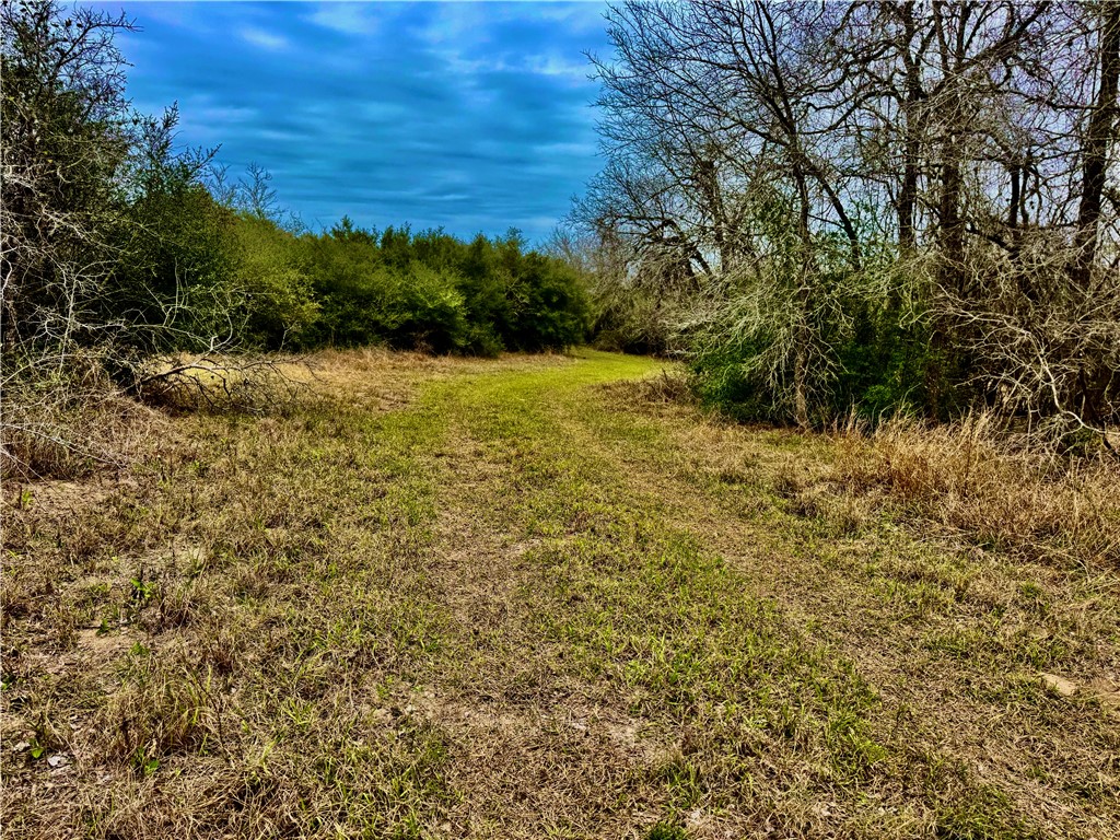 Tbd Fm 2441 Property Photo 24