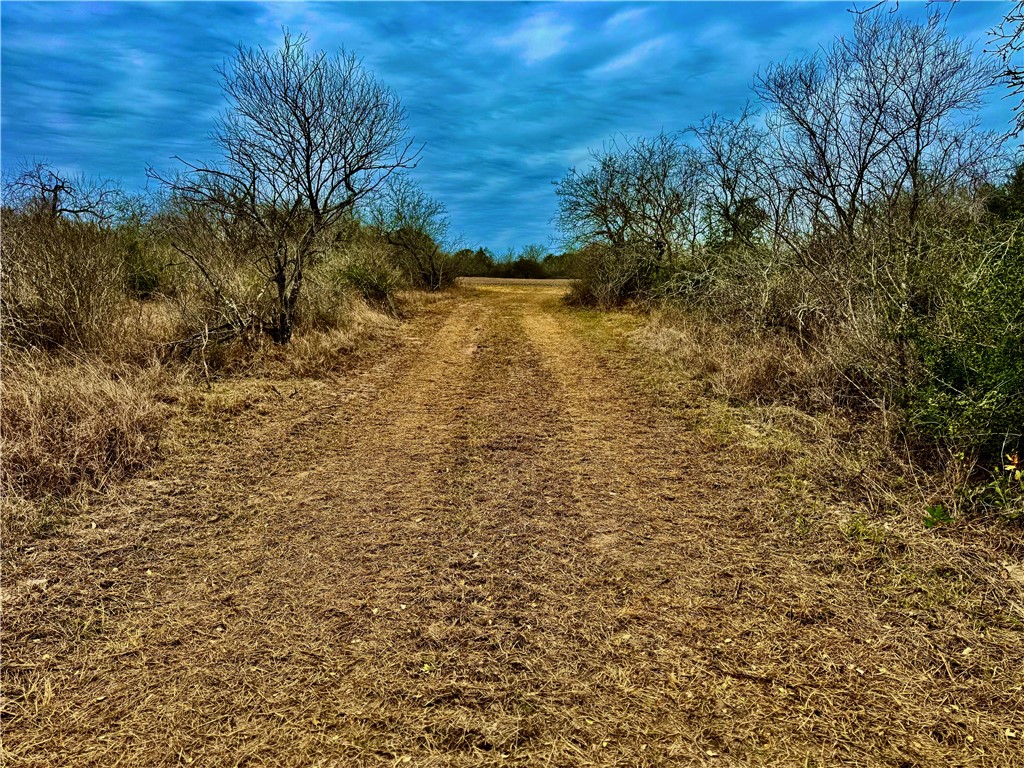 Tbd Fm 2441 Property Photo 25