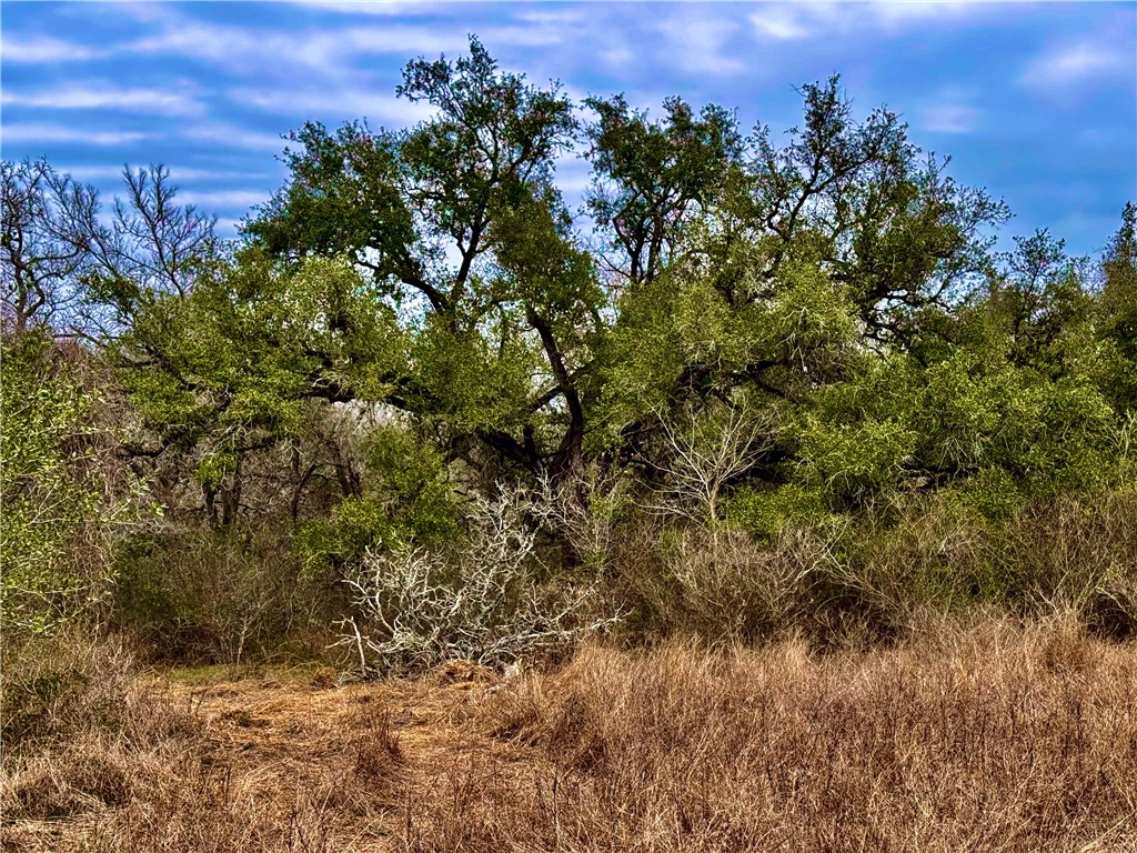 Tbd Fm 2441 Property Photo 27