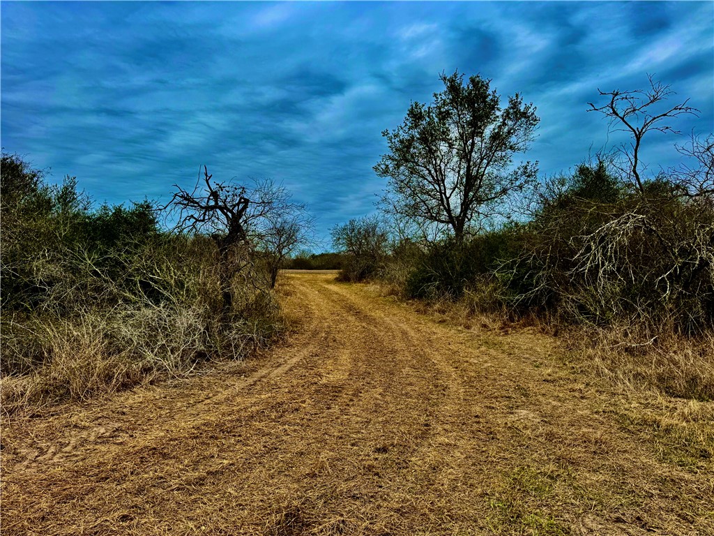 Tbd Fm 2441 Property Photo 28