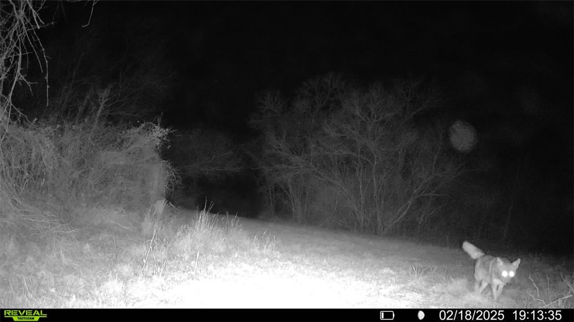 Tbd Fm 2441 Property Photo 29