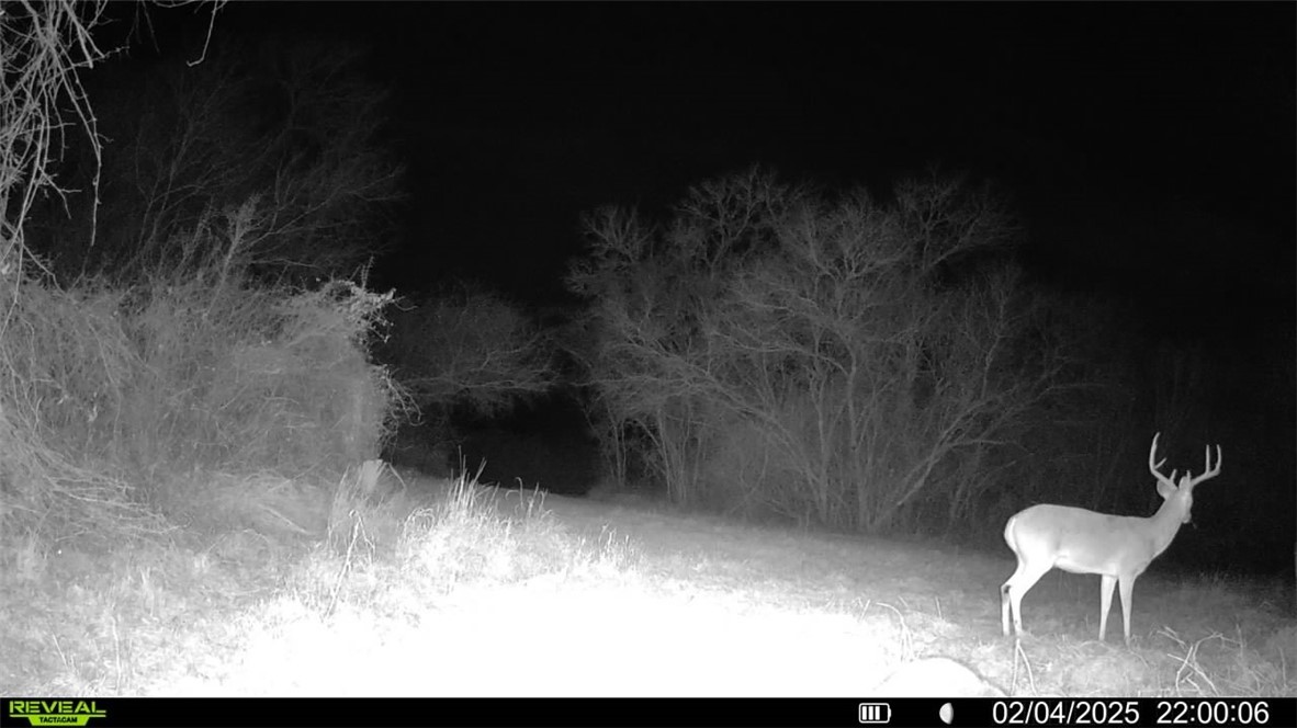 Tbd Fm 2441 Property Photo 33
