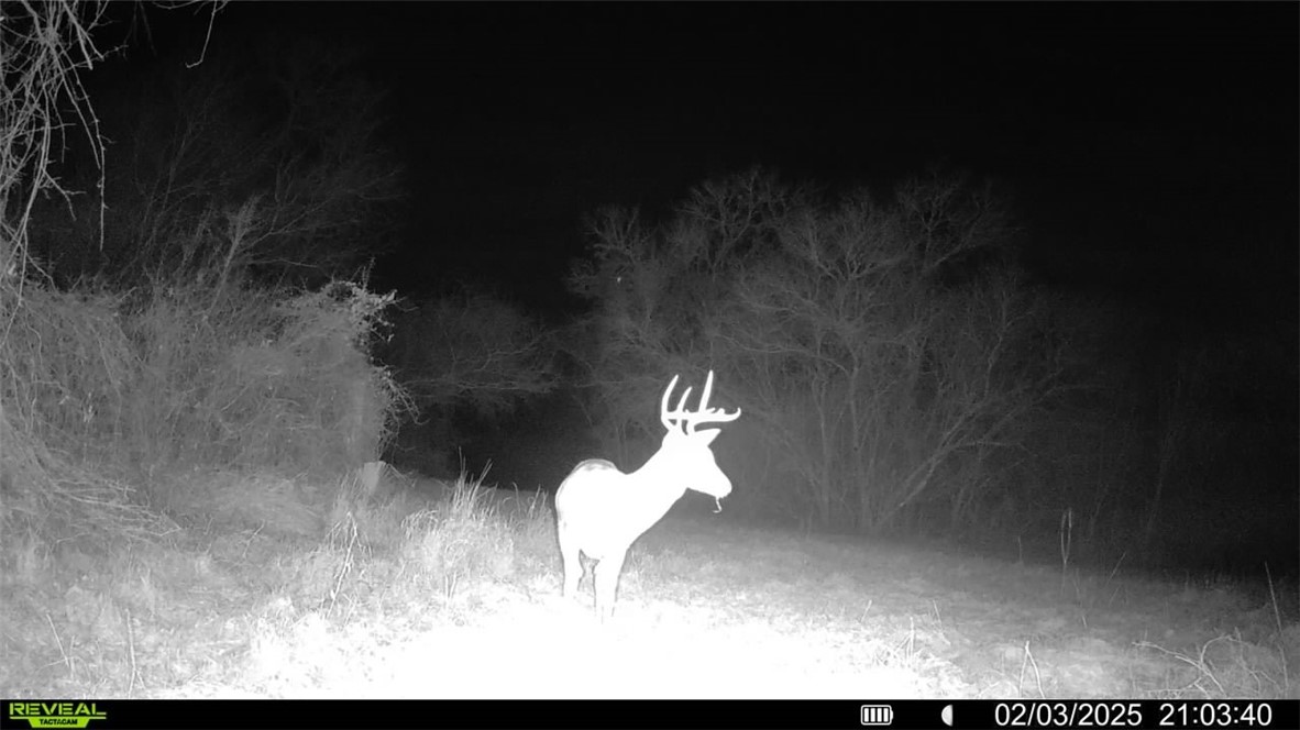 Tbd Fm 2441 Property Photo 34